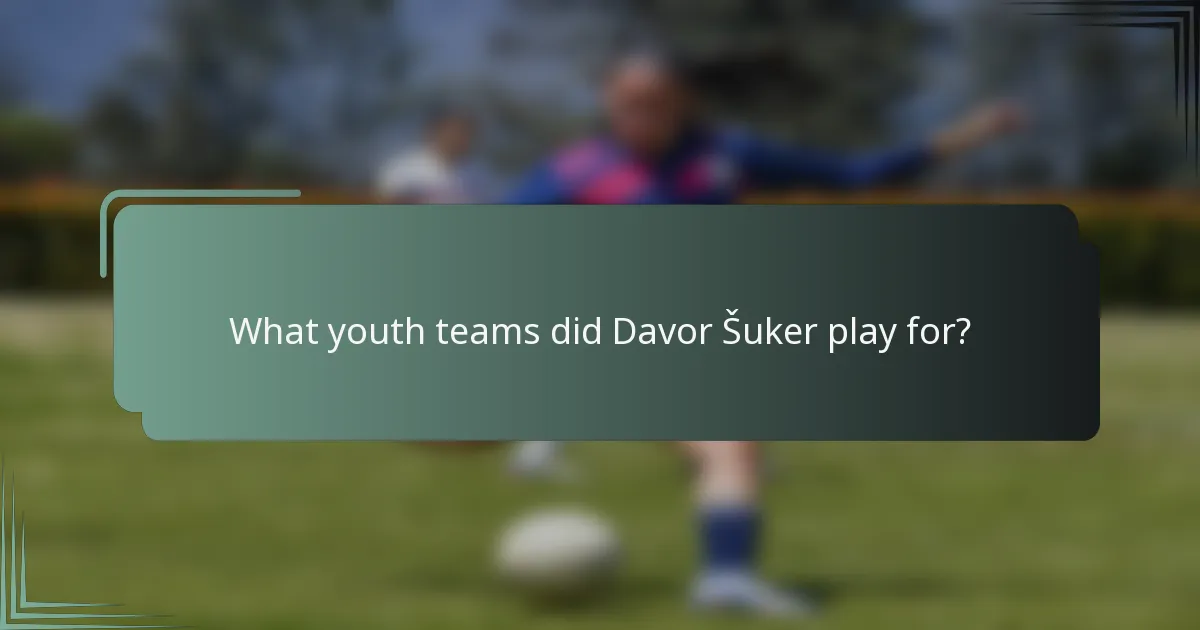 What youth teams did Davor Šuker play for?